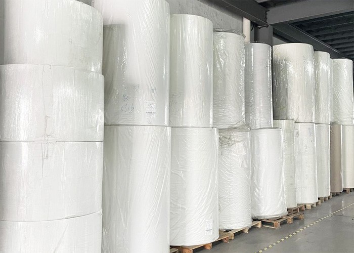 facial tissue parent roll products facial tissue parent roll products