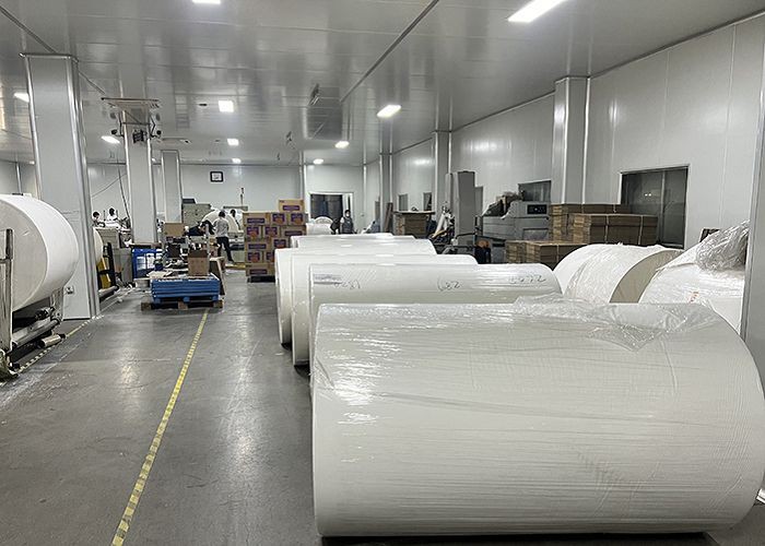 facial tissue parent roll workshop facial tissue parent roll workshop